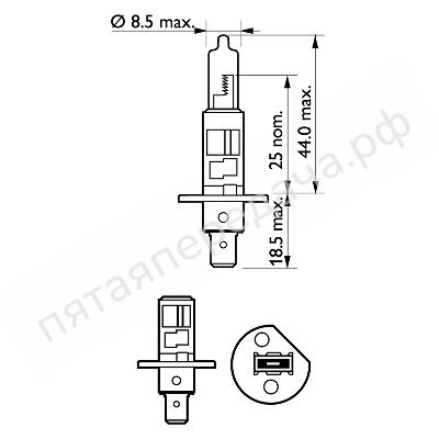 Лампа галоген LongLife Ecovision H1 12В 55Вт - 12258LLECOS2
